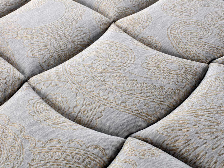 Colunex Chandon madras