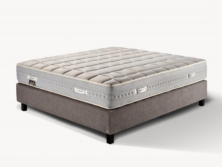 Colunex Chandon madras